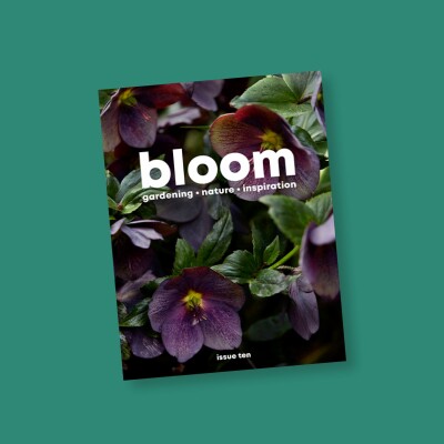 Discovering gardening with Bloom magazine cover