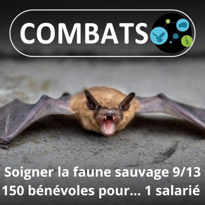 S01E66 Soigner la faune sauvage 9/13 : 150 bénévoles pour ... 1 salarié ! Qui sont ils ? (Manon Tissidre, directrice) cover