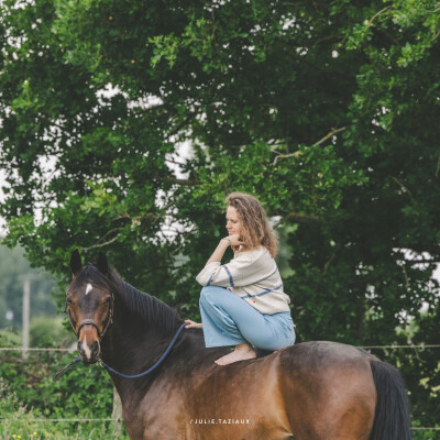 🐎 Dressage • La réactivité mène à la légèreté cover