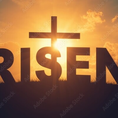 Ephésiens 2 : 1 - 6 De la mort spirituelle au Salut par grâce en Jesus-Christ cover