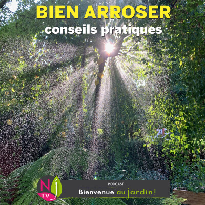 #82: PAROLES D'EXPERTS: NOS MEILLEURS CONSEILS POUR BIEN ARROSER cover
