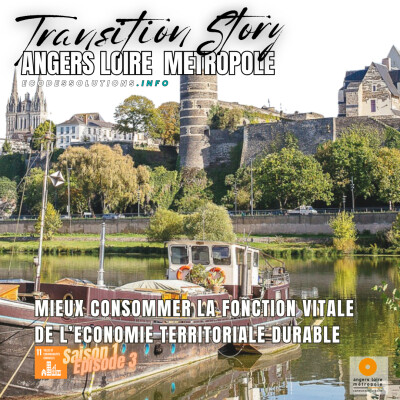 MIEUX CONSOMMER LA FONCTION VITALE DE L"ECONOMIE TERRITORIALE DURABLE cover