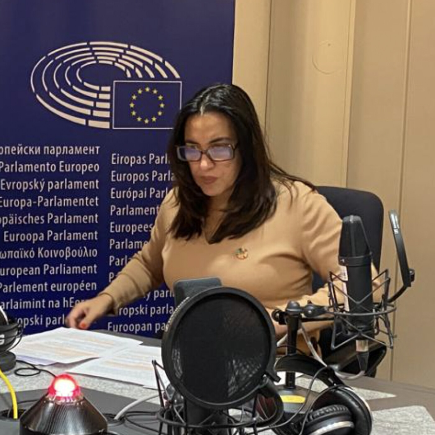 Mónica Silvana Gonzáles (MEP) : violencia y mujeres en política [español] episode artwork