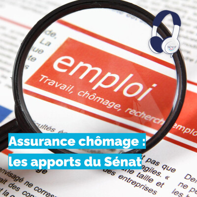 Assurance chômage : les apports du Sénat cover