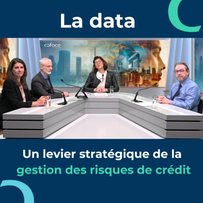 Data: un levier stratégique de la gestion des risques cover