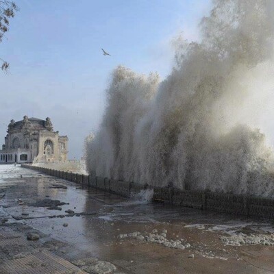 Sale temps pour Naso cover