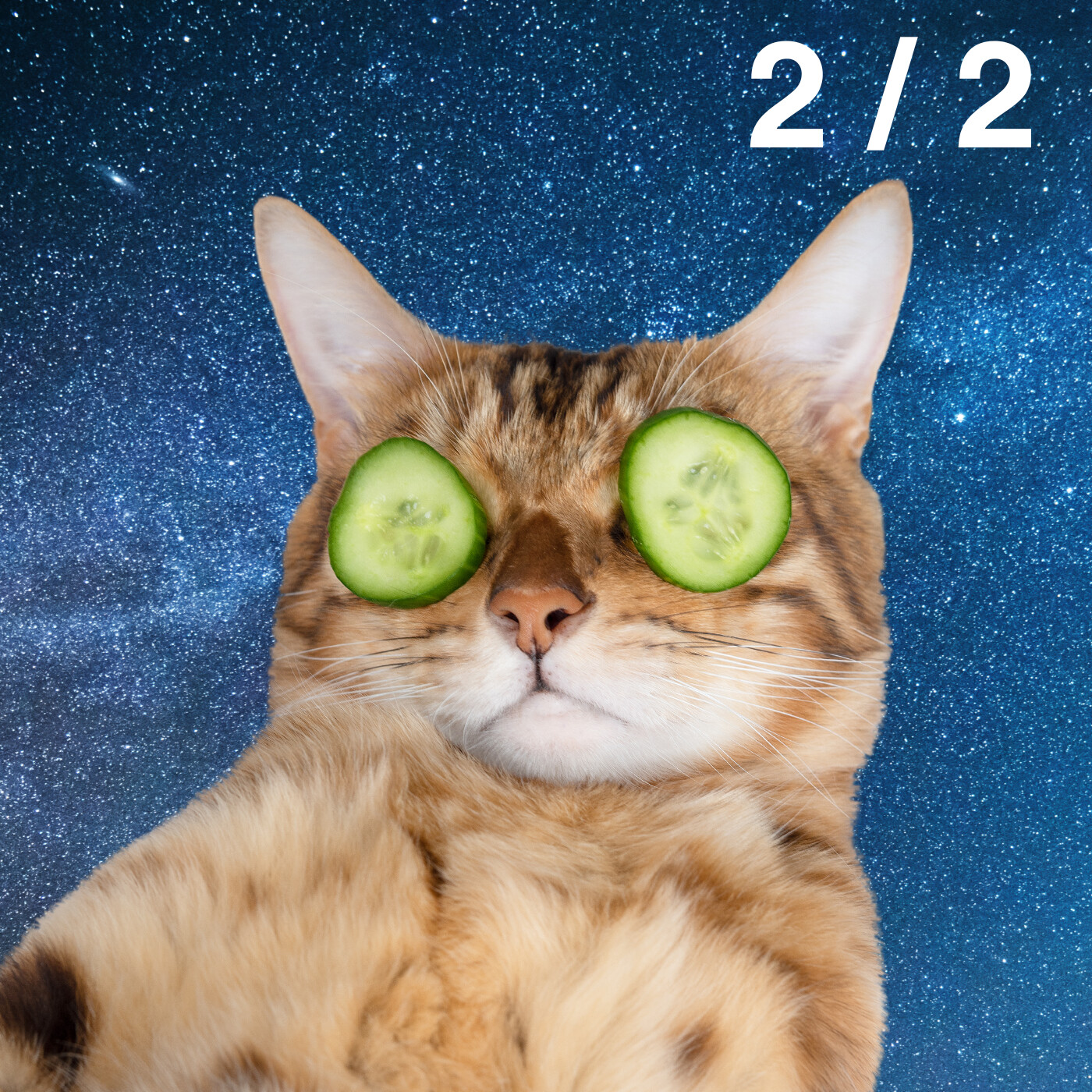 AMELIORER la qualité de son SOMMEIL – Partie 2