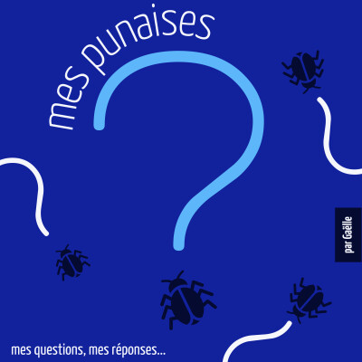 E60 le fameux Etienne Marcel cover