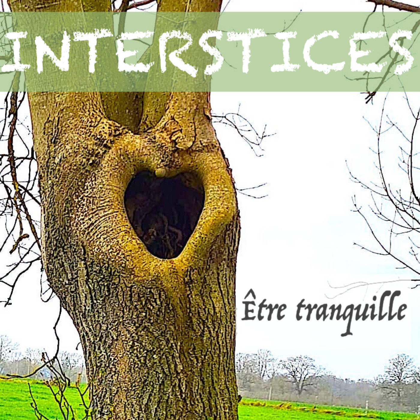 INTERSTICES