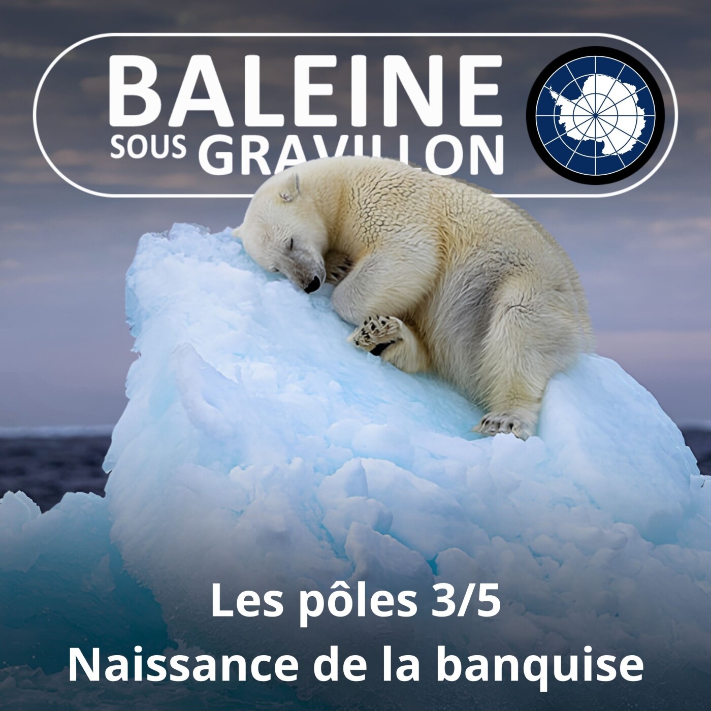 S02E100 Les pôles 3/5 : Naissance de la banquise episode artwork