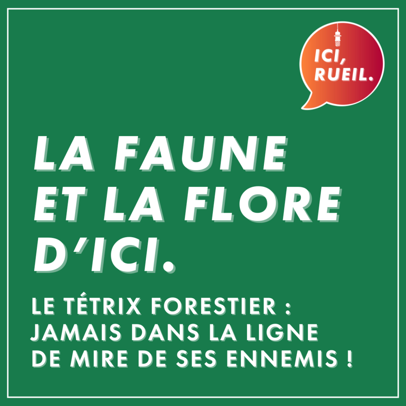 La Faune et la Flore d'Ici : Le tétrix forestier, jamais dans la ligne de mire de ses ennemis ! episode artwork