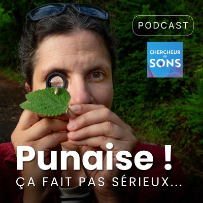 Punaise ! (2/3) Écouter et observer cover