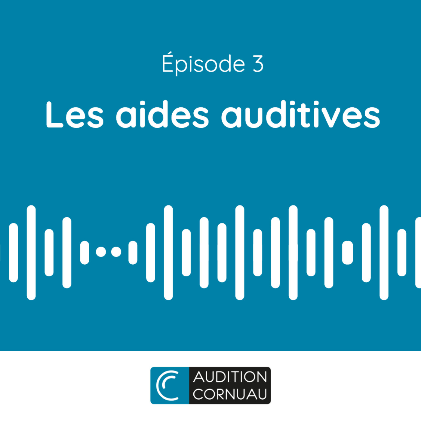 E03 - Les aides auditives