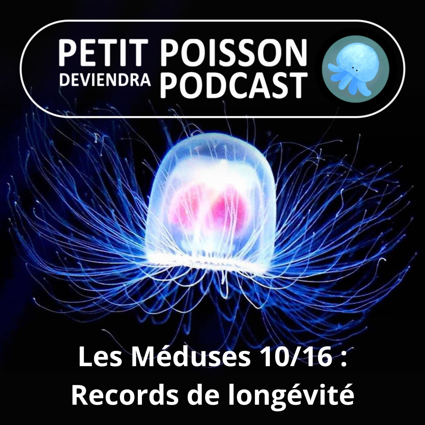 Petit Poisson deviendra Podcast