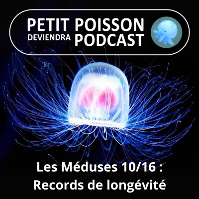 S04E10 Méduses 10/16 : Les records de longévité du Vivant cover