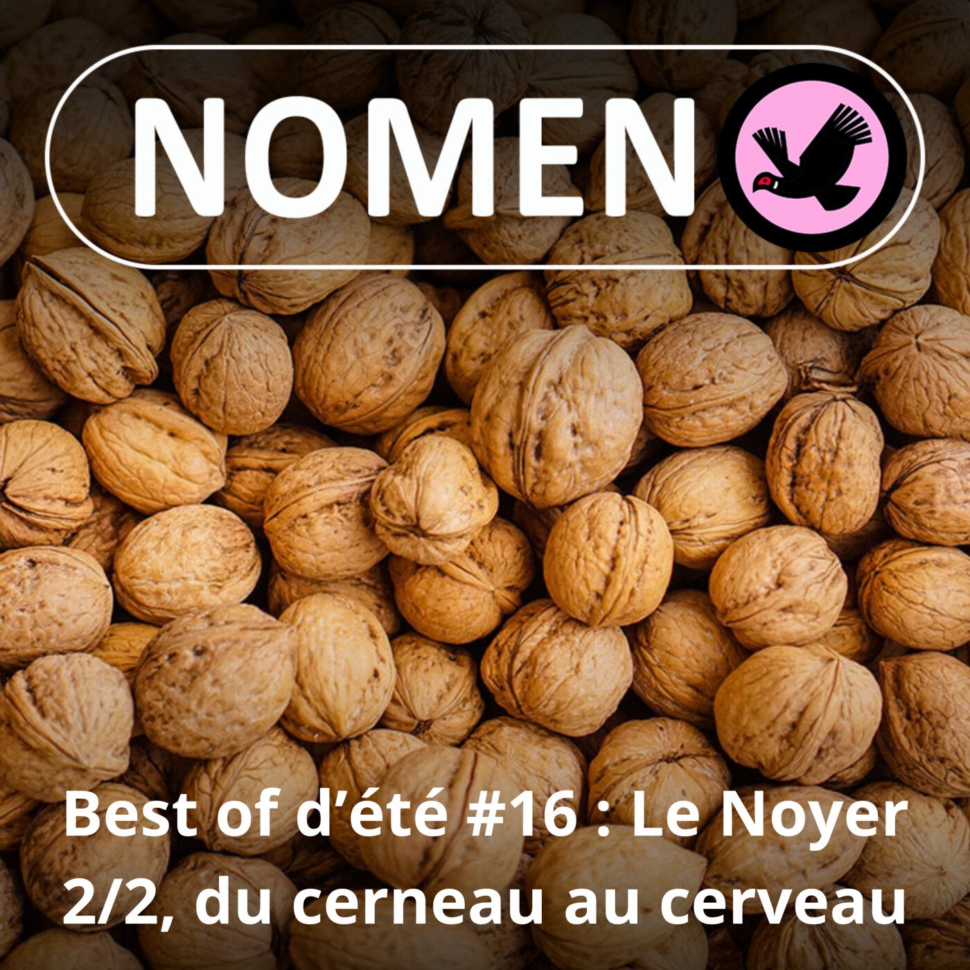 BEST OF D'ÉTÉ #16 : La Noix 2/2, du cerneau au cerveau