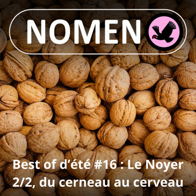 BEST OF D'ÉTÉ #16 : La Noix 2/2, du cerneau au cerveau cover