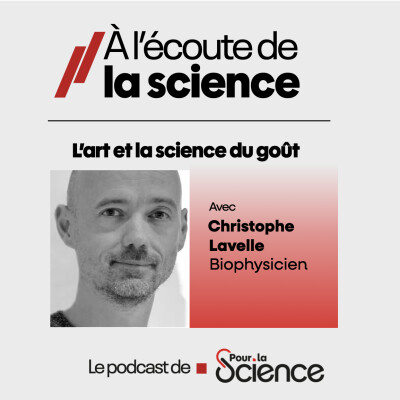 L’art et la science du goût... avec Christophe Lavelle (biophysicien) cover