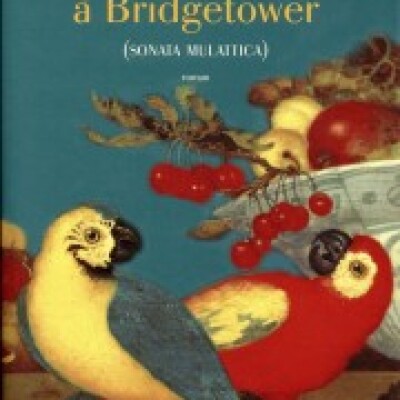 La sonate à Bridgetower cover