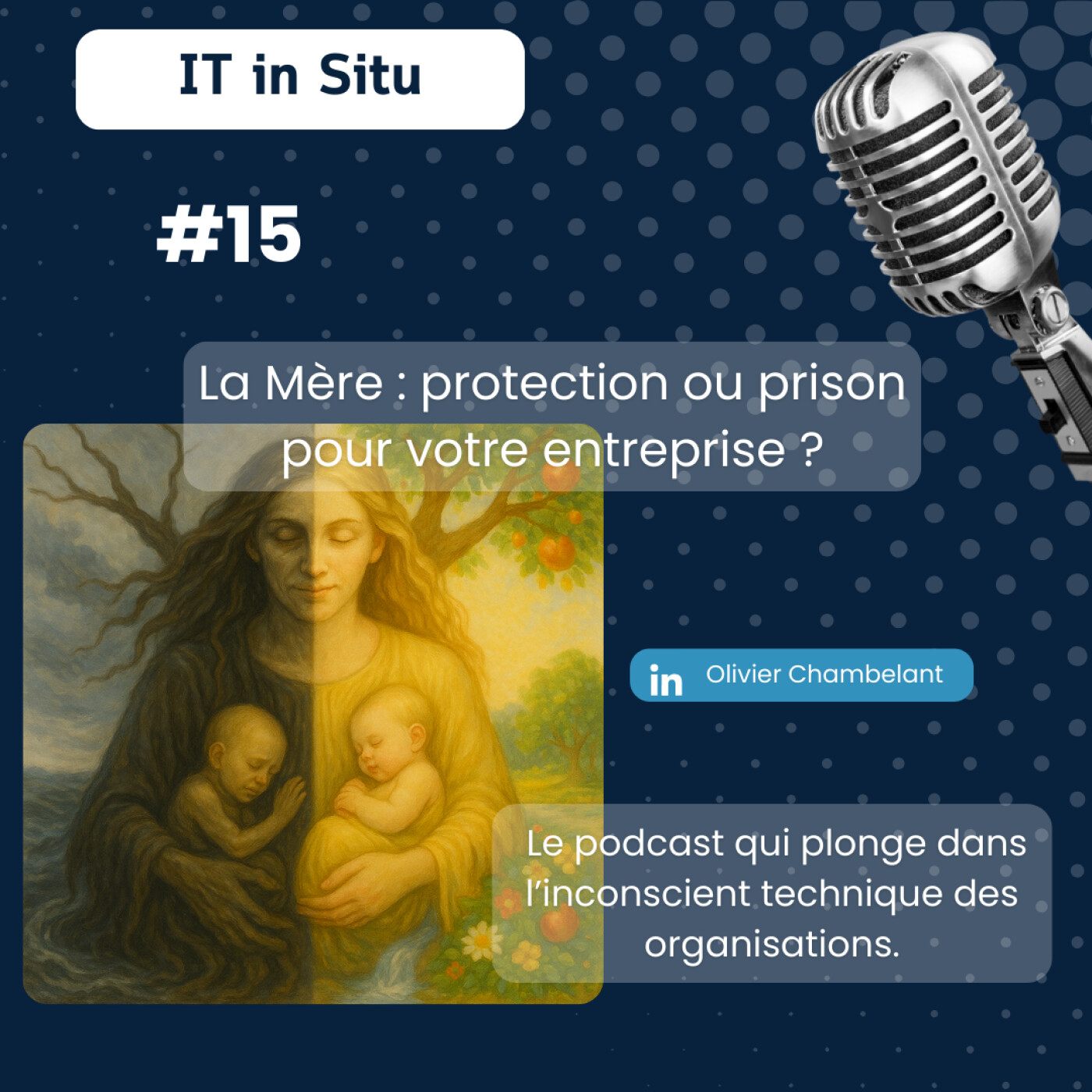IT in Situ – Plongée dans l\'inconscient technique des organisations