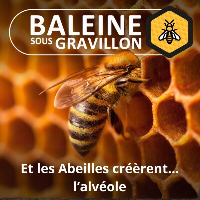 S01E06 L'alvéole des abeilles : La construction la plus géniale du Vivant ? cover