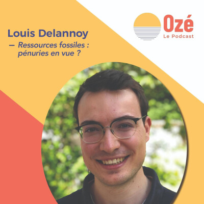 Le pic pétrolier est-il un mirage ? - Louis Delannoy cover