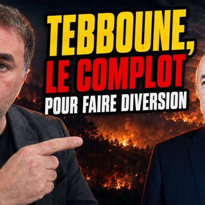 Feux de forêt en Algérie : on a vérifié les affirmations de Tebboune (et ça ne tient pas) cover