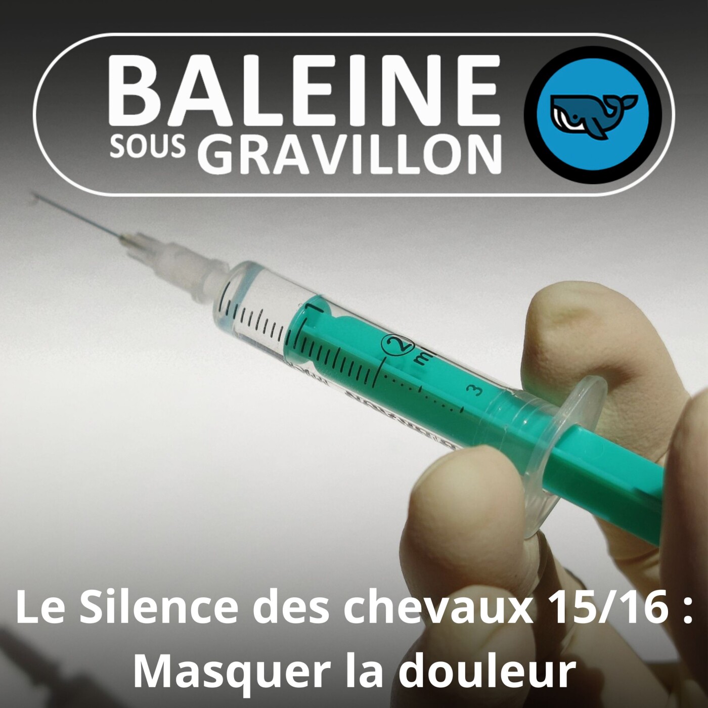 S06E49 Le Silence des chevaux 15/16 : Ces "professionnels" payés pour masquer la misère