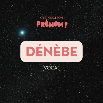 Dénèbe [VOCAL] cover