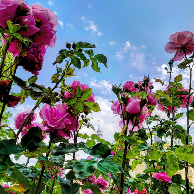 Positive Feedback cover