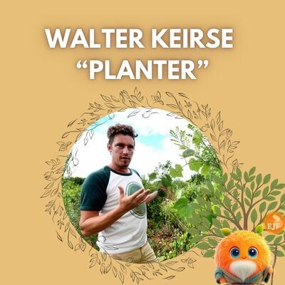 Walter Keirse - Planter cover