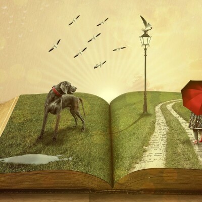 LES CHANTIERS DE L'ORTHOPHONIE N°14 - La spécialisation - Le langage écrit 1 cover