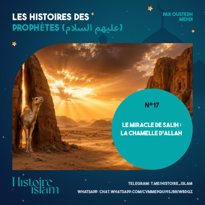 [Ep 17] Le Miracle de Salih : La Chamelle d'Allah [Les Histoires des Prophètes] cover