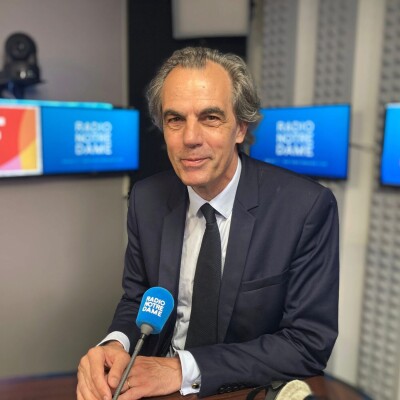 Comment accélérer la transition écologique, économique et sociétale ? cover