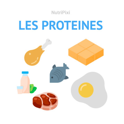 Les protéines cover