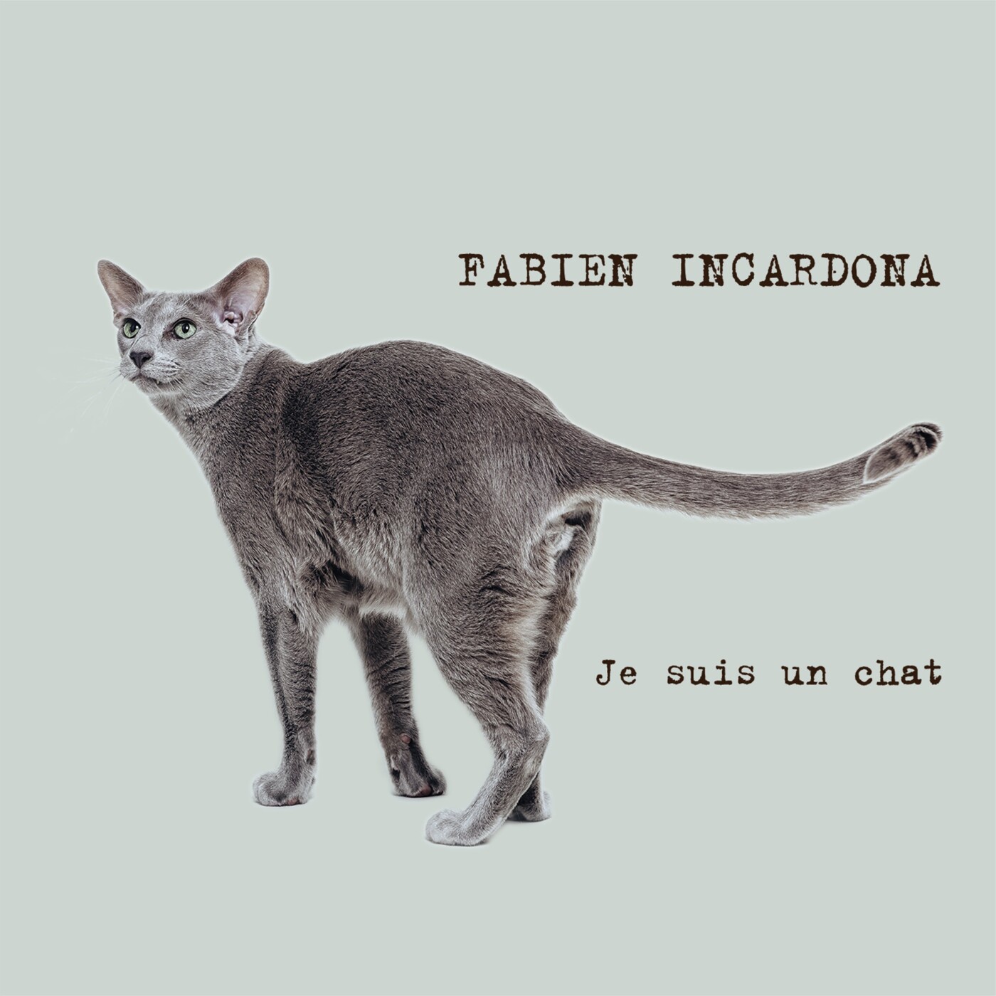 Fabien Incardona nous présente son titre Je suis un chat - 25 10 2021 - StereoChic Radio