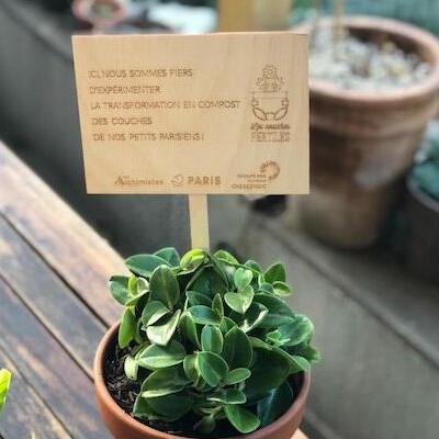 Et si les couches de vos bébés devenaient des fleurs ou des légumes ? cover