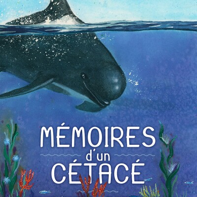 Vulgarisation et fiction, c'est le pari réussit d'Anne Défréville avec Mémoire d'un Cétacé. Dans ma bulle #229 cover