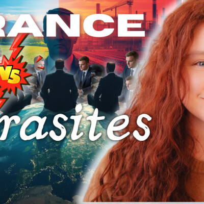 Faut-il virer les Fonctionnaires ? Producteurs, Parasites & Serviteurs : une Rétrospective cover