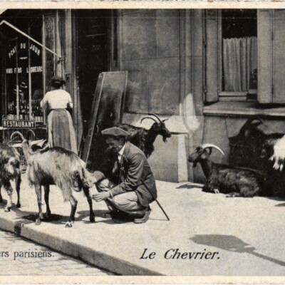 Brève : Les chèvres de Paris cover