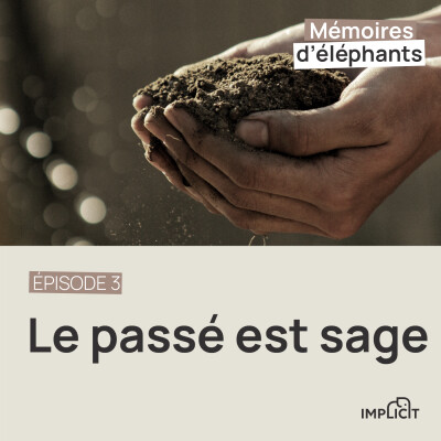 #3 - Le passé est sage cover