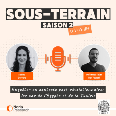 9# Enquêter en contexte post-révolutionnaire: les cas de l’Égypte et de la Tunisie cover