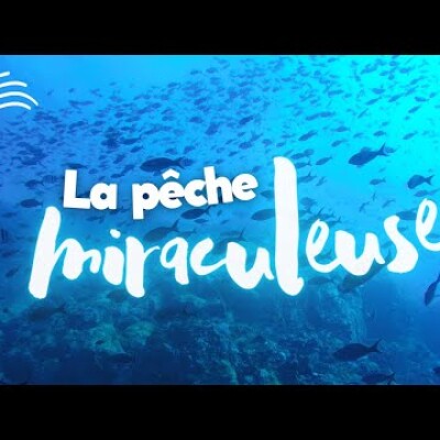 Parole et Évangile du jour | Vendredi 5 avril • Faire confiance à Jésus mène à la pêche miraculeuse cover