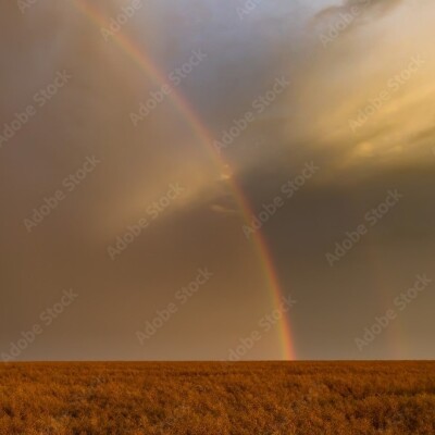 Genèse Chap. 6 La corruption du genre humain cover