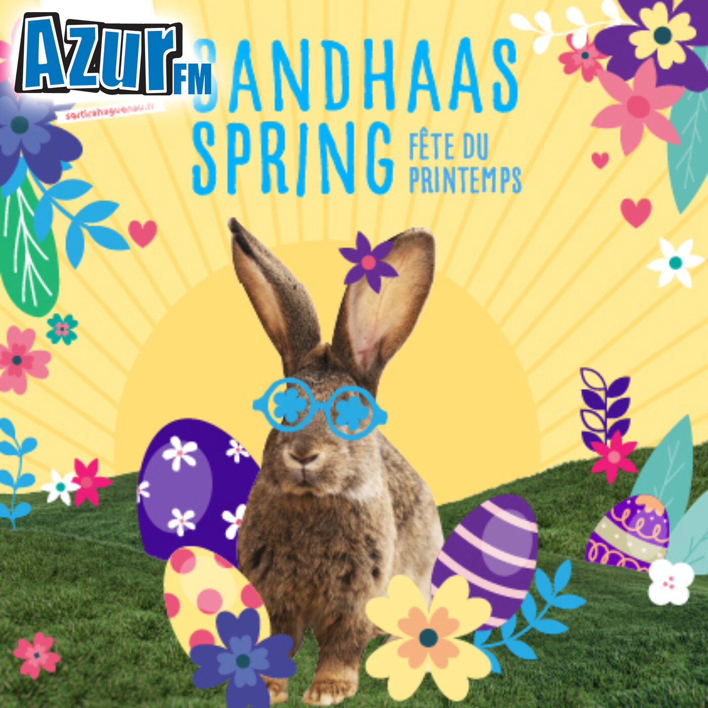 Haguenau : Le Sandhaas Spring revient pour fêter le retour du printemps episode artwork