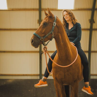 🐎 Assouplissement de votre corps, perception, proprioception, pour votre mise en selle cover