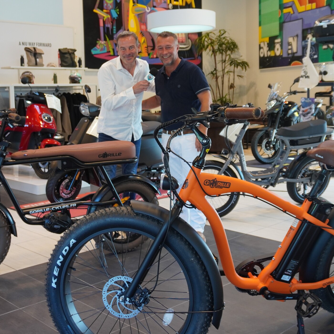 Cyril Piron, le directeur de WHEEL NATION nous présente 5 modèles de Fat Bike de la marque Française Gorille episode artwork