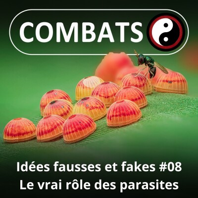 S06E08 Idées fausses : Le rôle des parasites cover