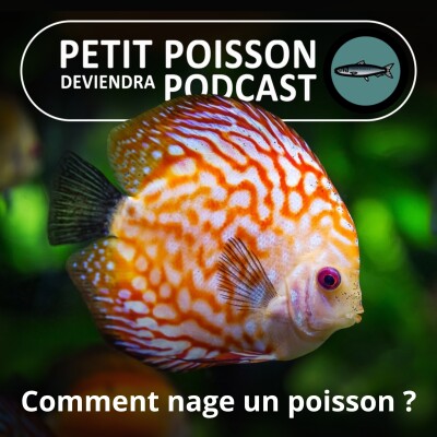 BEST OF D'ÉTÉ #09 : Au fait, comment les poissons nagent-ils ? (Bill François) cover
