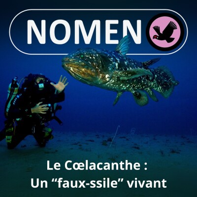S05E Le Cœlacanthe : Un "faux-ssile" vivant cover